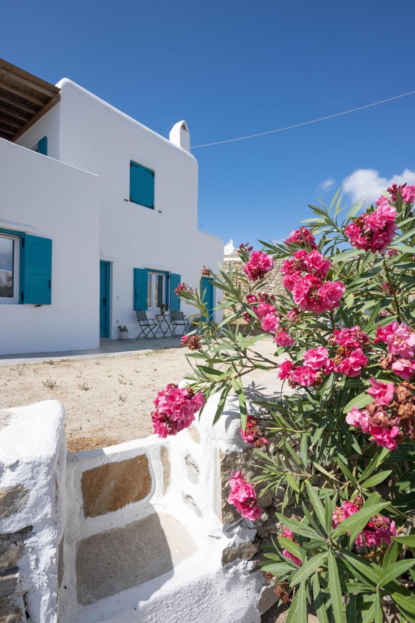 Apartament A&a House Mykonos A *